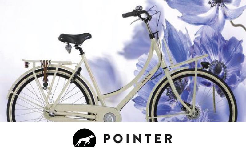 Pointer